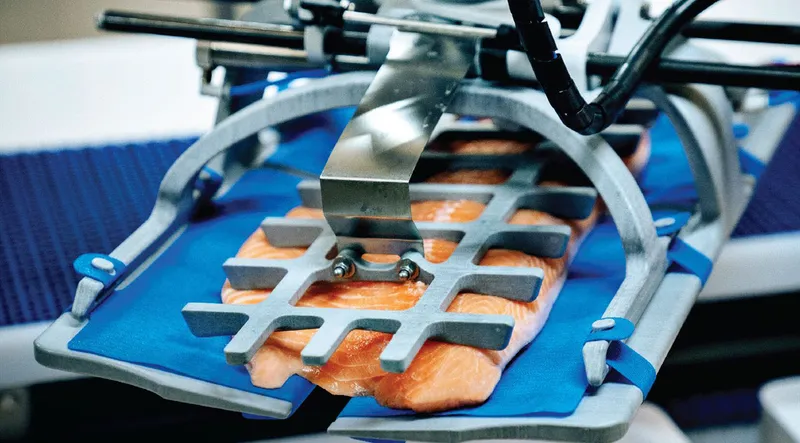 3D-printed gripper holding a salmon side above a blue conveyor belt